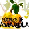 Sounds Of Amarula1.jpg